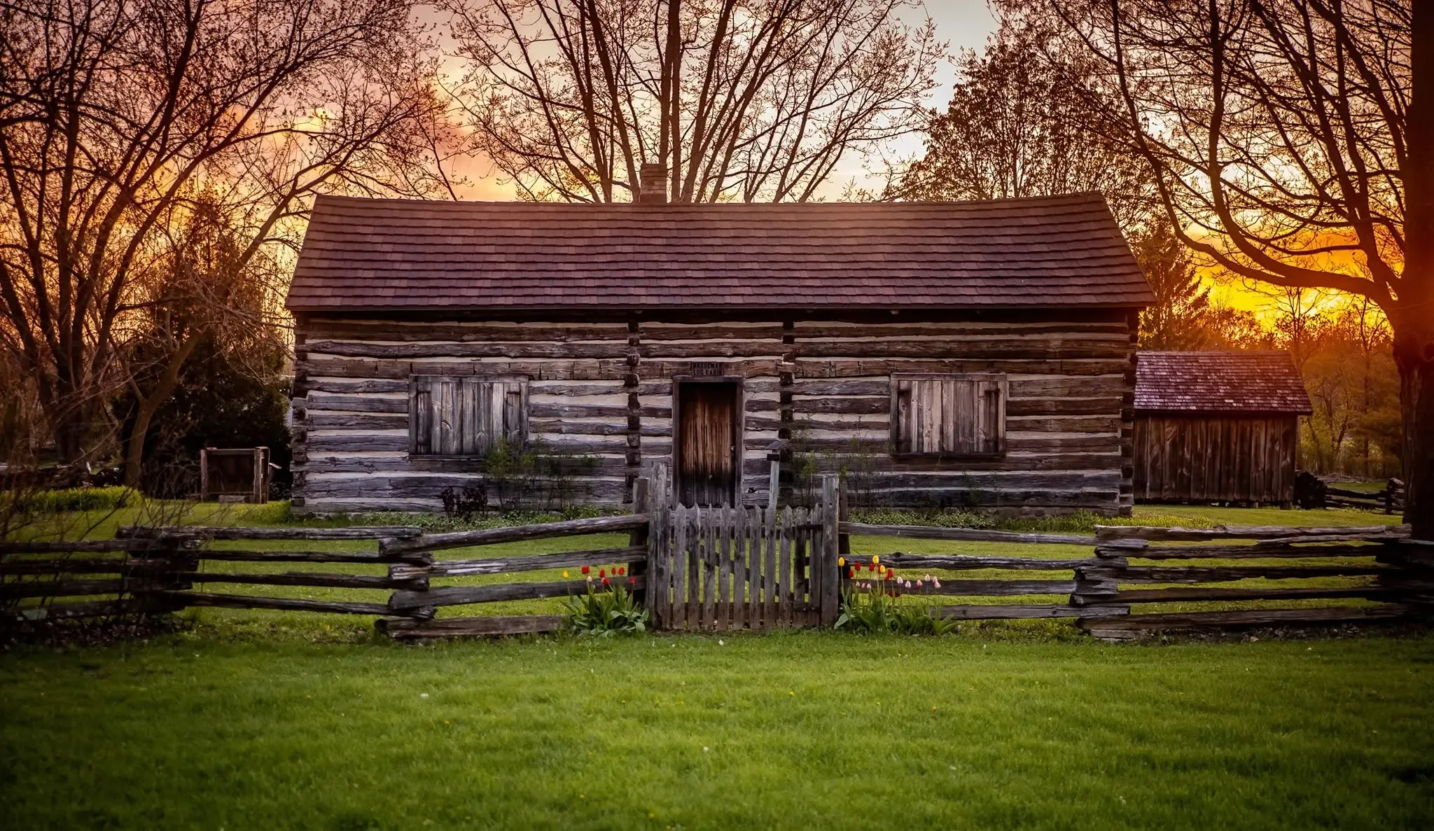 The 1839-era log cabin at the Trinity Freistadt Historical Site at sunset, behind a split-rail fence with tulips blooming at the gate
