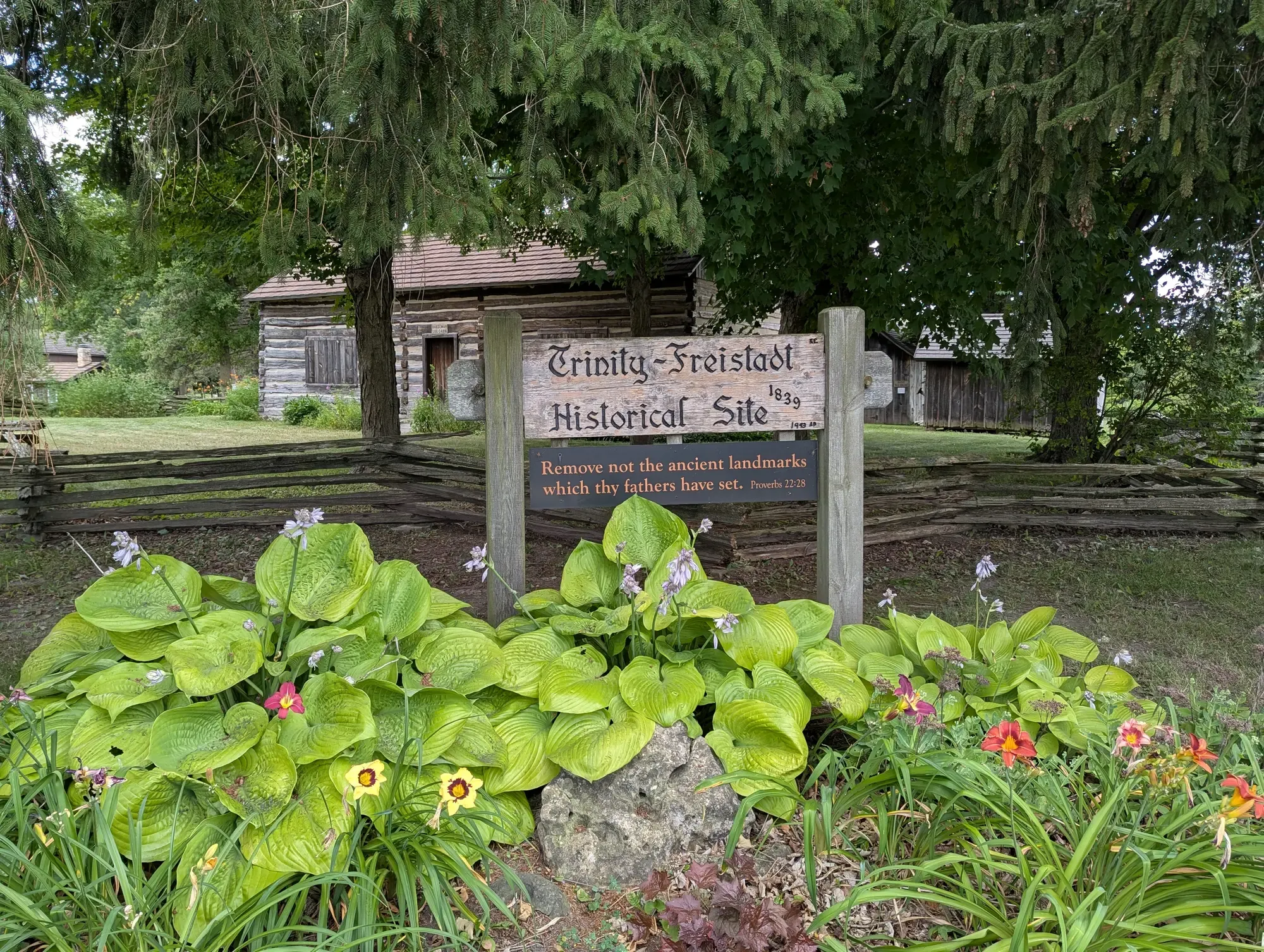 The carved Trinity-Freistadt Historical Site sign ringed by hostas and daylilies, the log cabin behind it