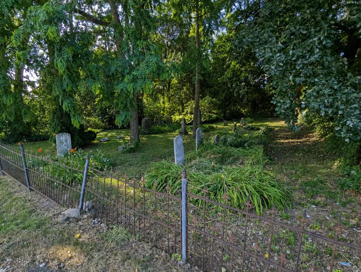 Pioneer headstones ringed by daylilies inside the Buffalo Synod cemetery's wrought-iron fence, under a canopy of old trees