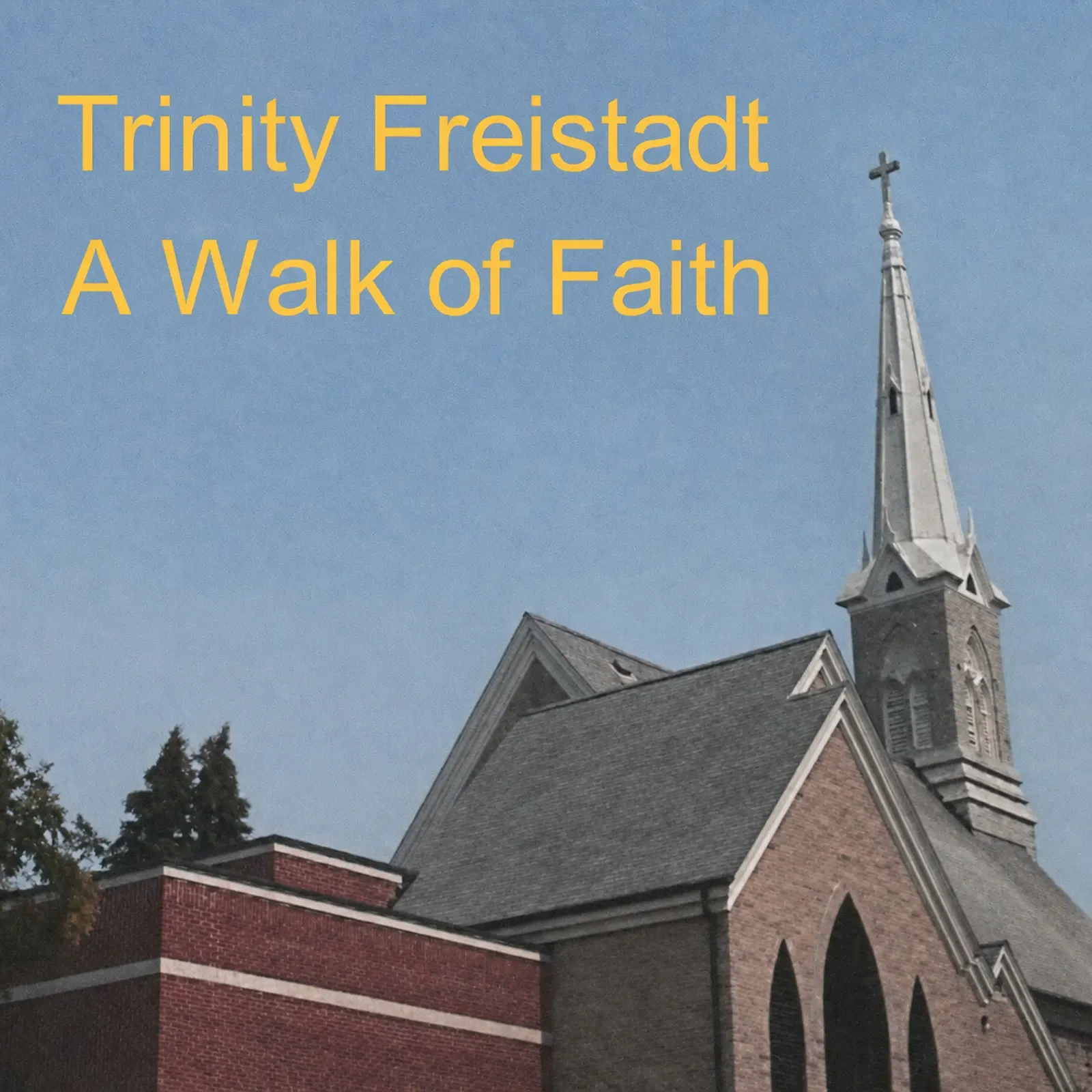 Cover of “Trinity Freistadt: A Walk of Faith (DVD)”